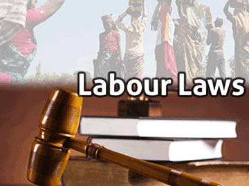 Labour & Employment